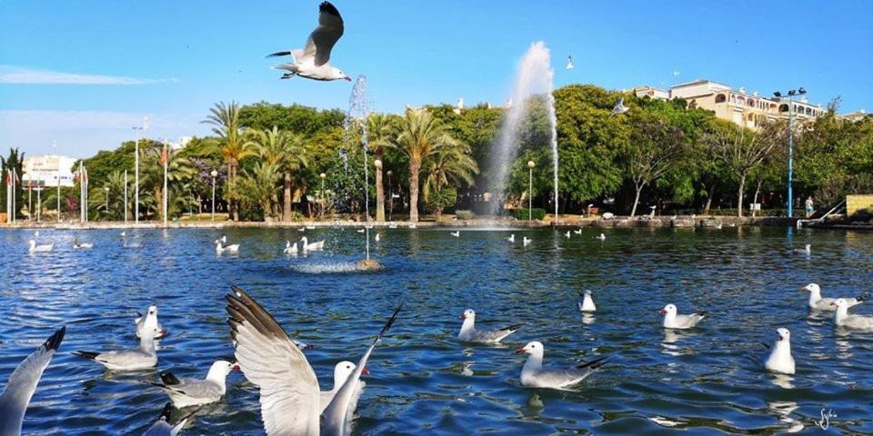 Torrevieja Experience Mar Azul Apartman Kültér fotó